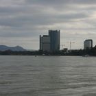 Blick über den Rhein auf den Posttower Bonn