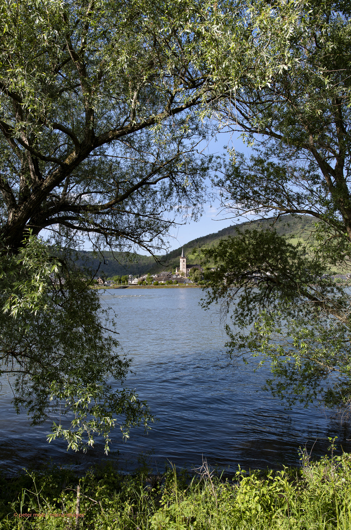 Blick über den Rhein auf Lorch - Mittelrheintal