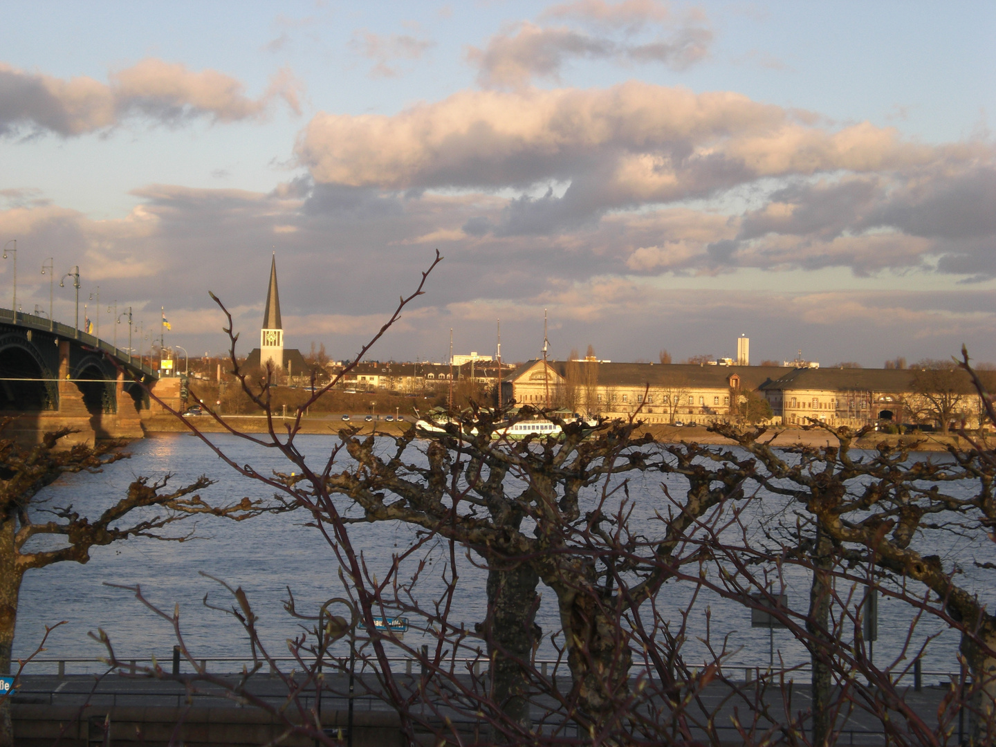 Blick über den Rhein