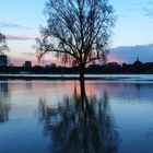 Blick über den Rhein