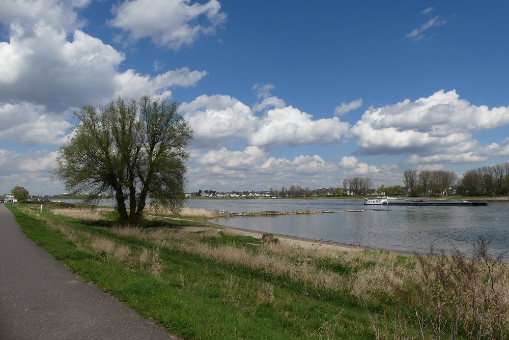 Blick über den Rhein