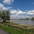 Blick über den Rhein