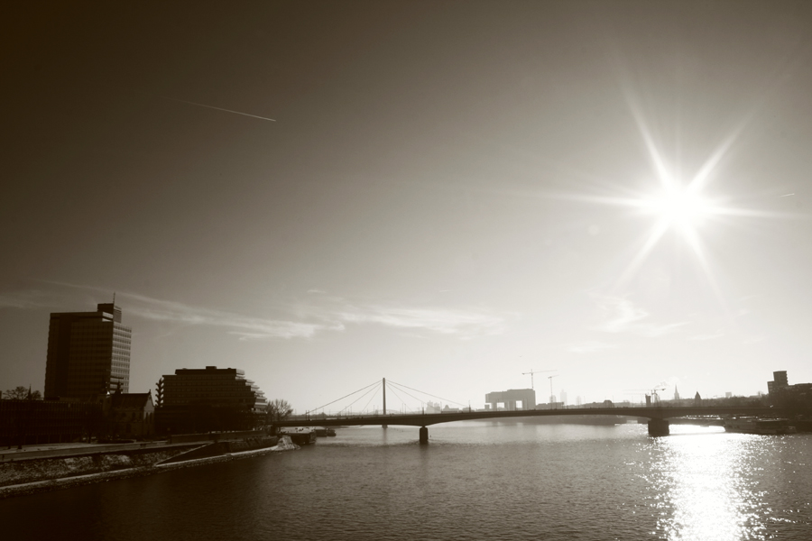 Blick über den Rhein