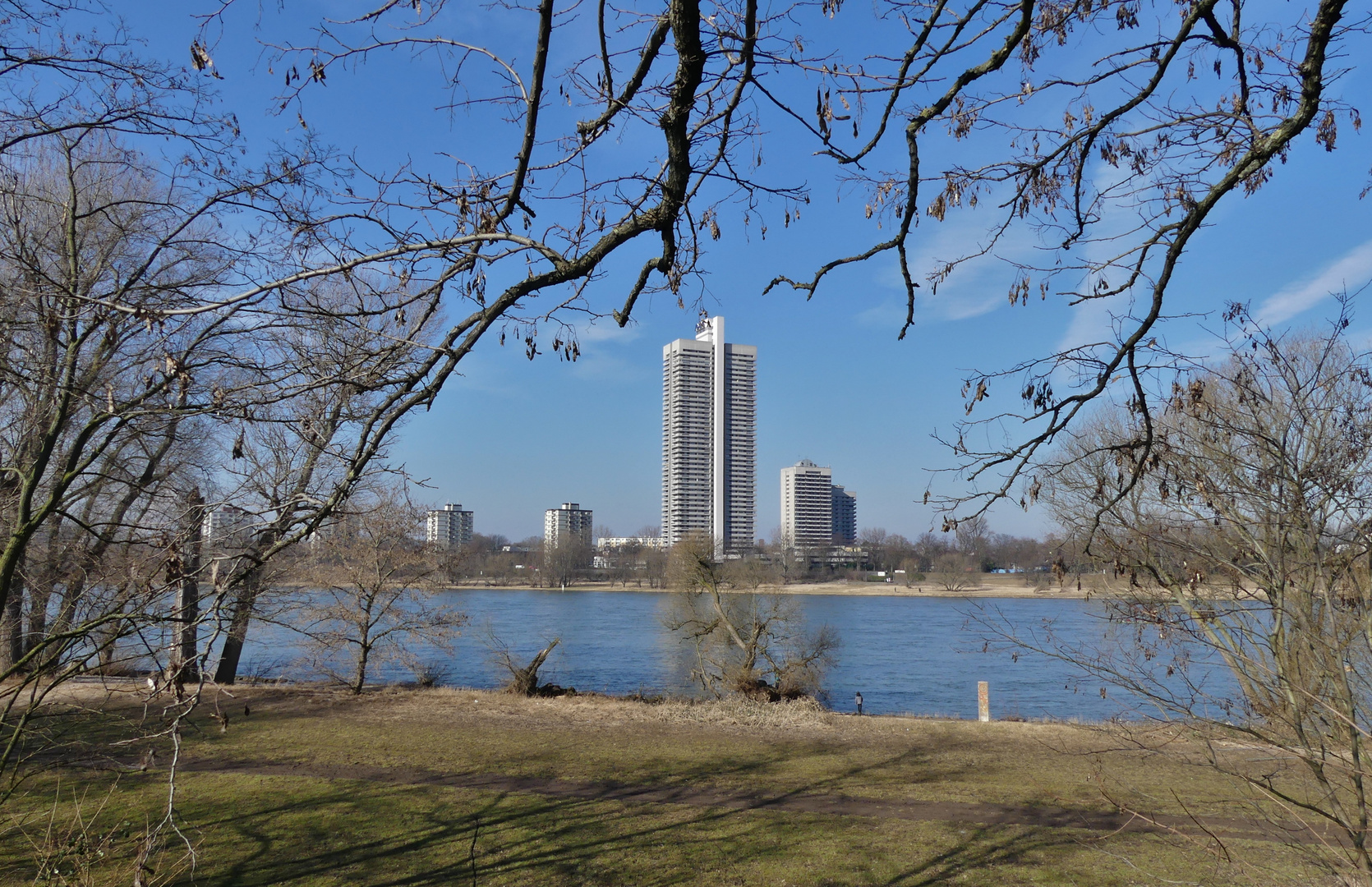 Blick über den Rhein in Köln