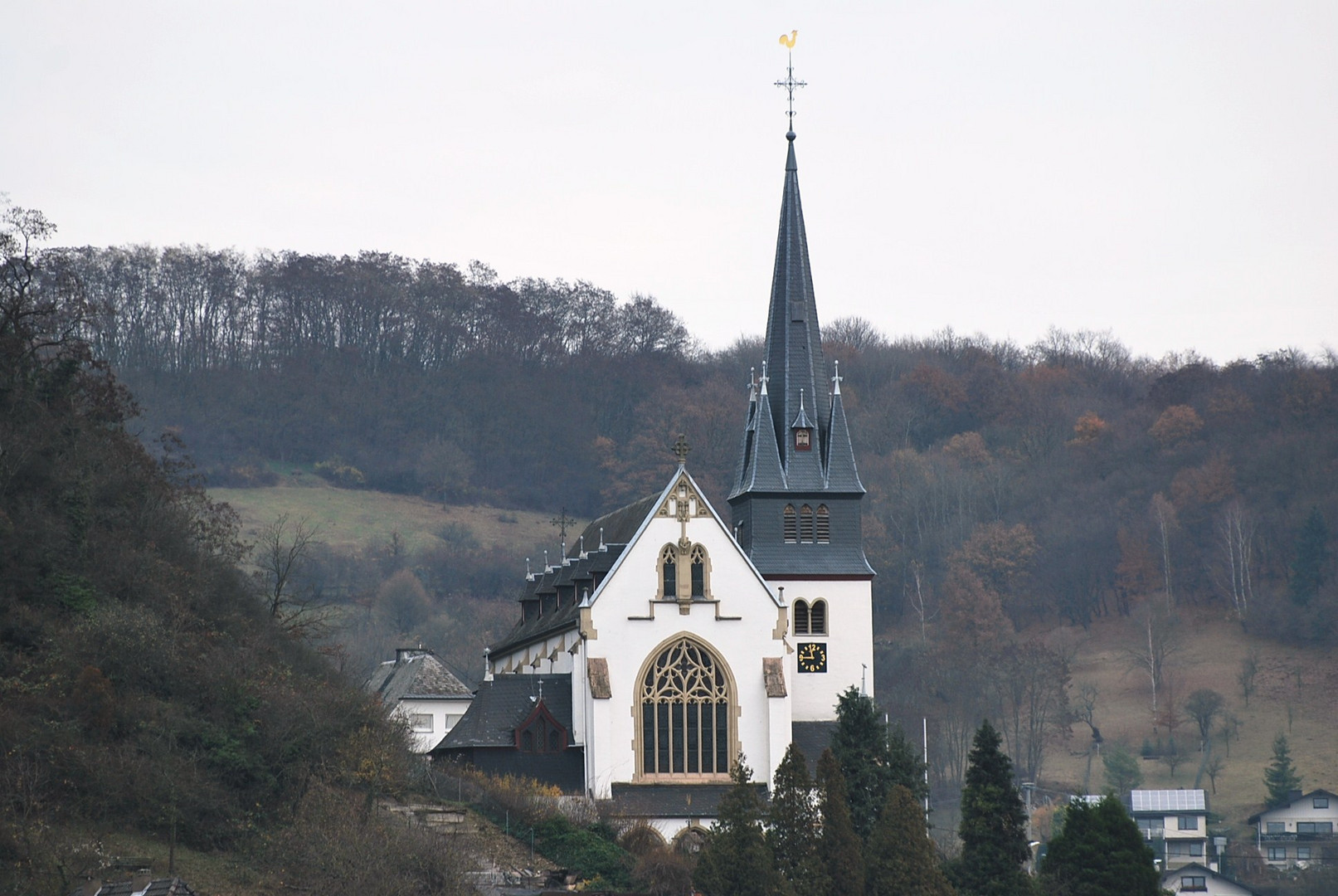 Blick über den Rhein , in Sinzig !