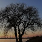 Blick über den Rhein nach Dormagen