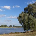 Blick über den Rhein nach Leverkusen-Hitdorf (2) 