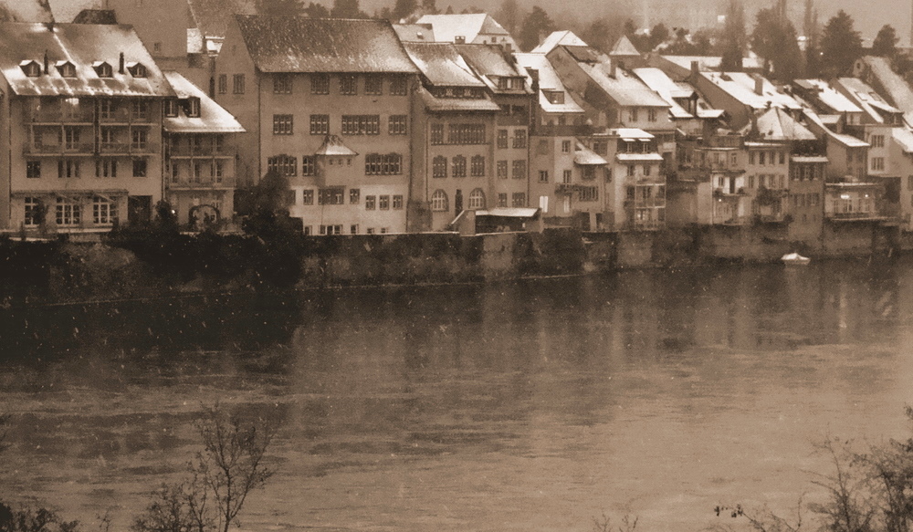 Blick über den Rhein (Sepia)