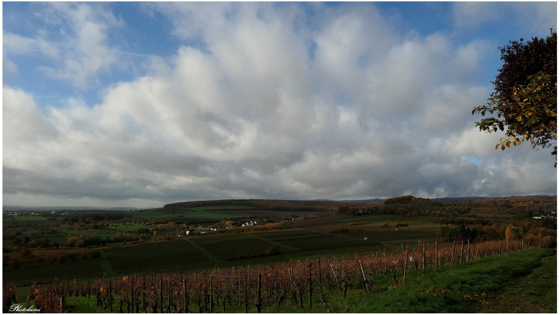 Blick über den Rheingau