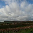 Blick über den Rheingau