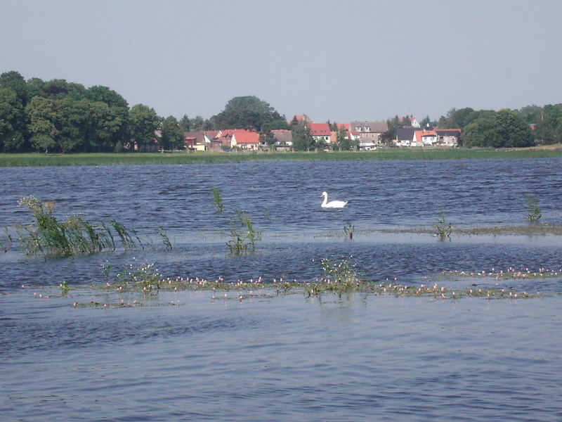 Blick über den Richtenberger See