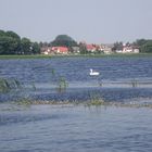 Blick über den Richtenberger See