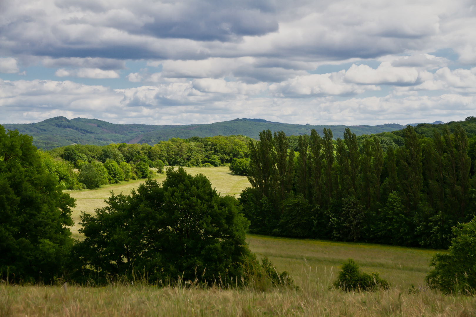 Blick über den Rodderberg