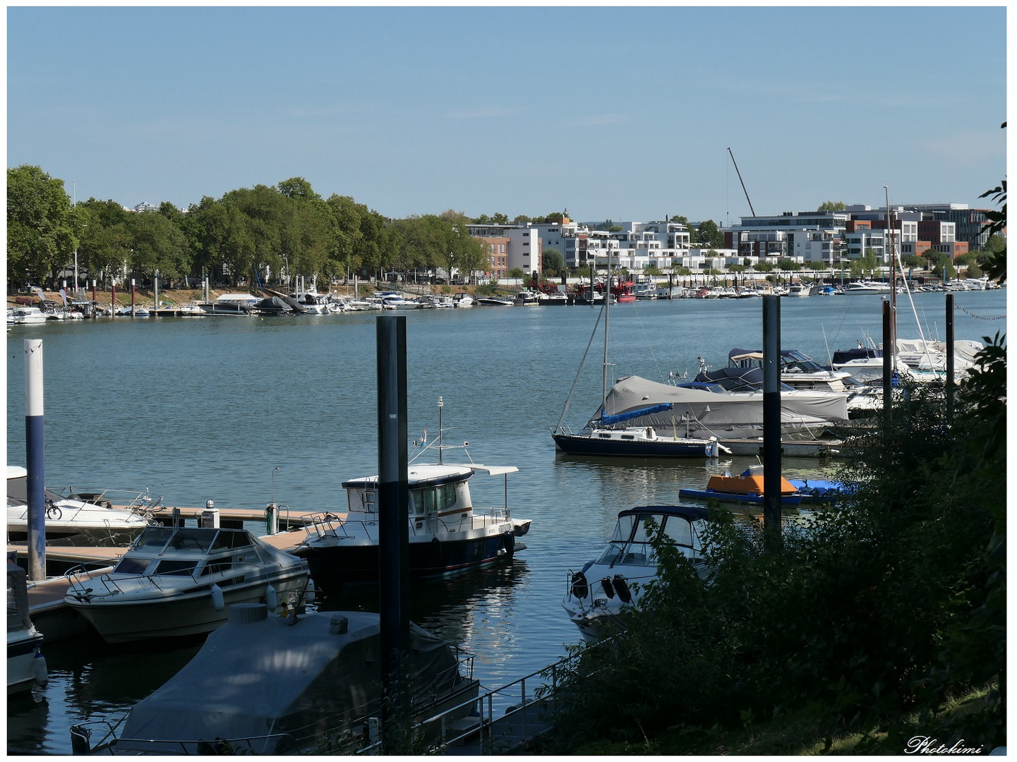 Blick über den Schiersteiner Hafen