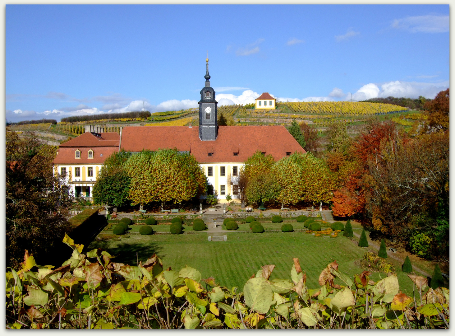 Blick über den Schloßgarten Diesbar-Seußlitz