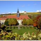 Blick über den Schloßgarten Diesbar-Seußlitz