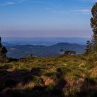 Blick über den Schwarzwald 