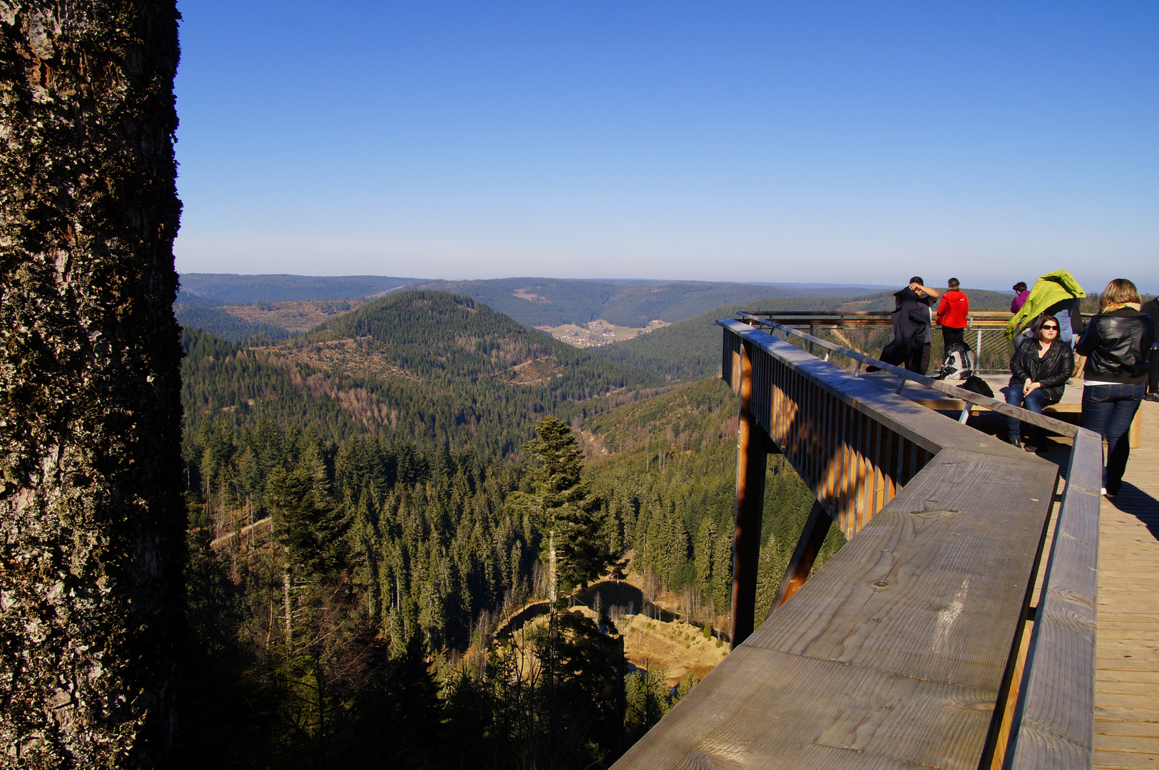 Blick über den Schwarzwald