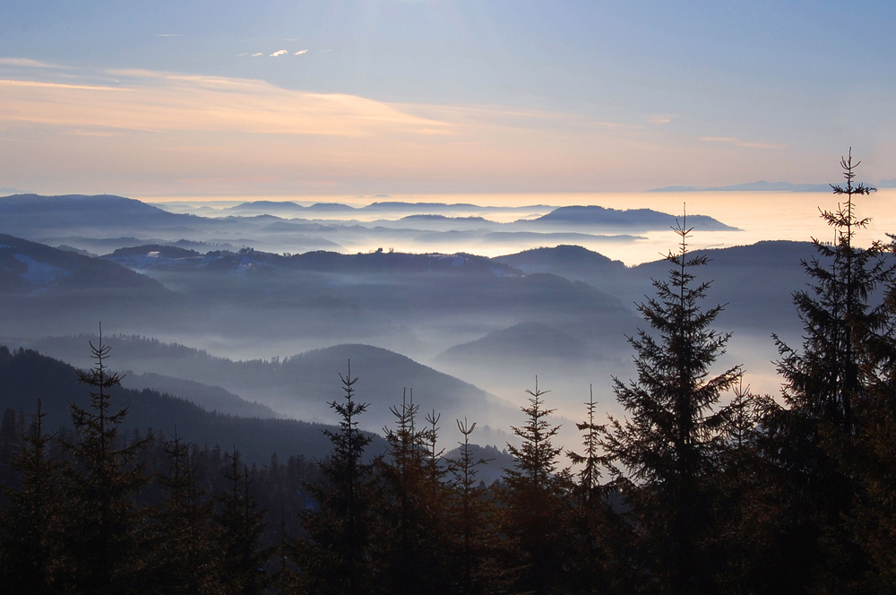 Blick über den Schwarzwald