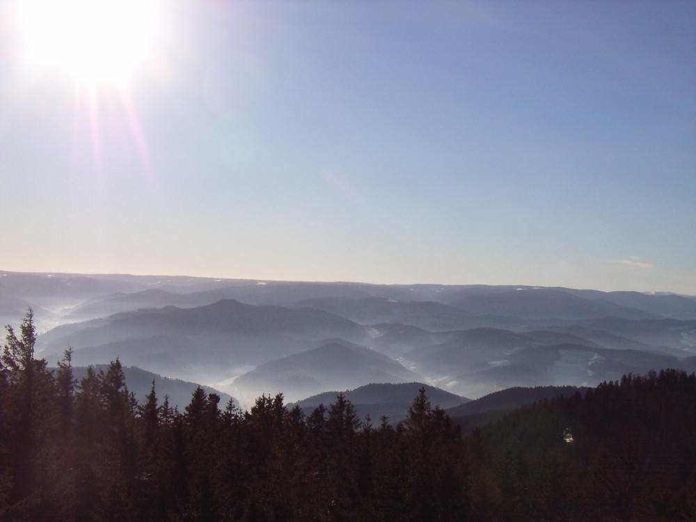 Blick über den Schwarzwald