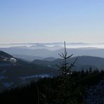 Blick über den Schwarzwald