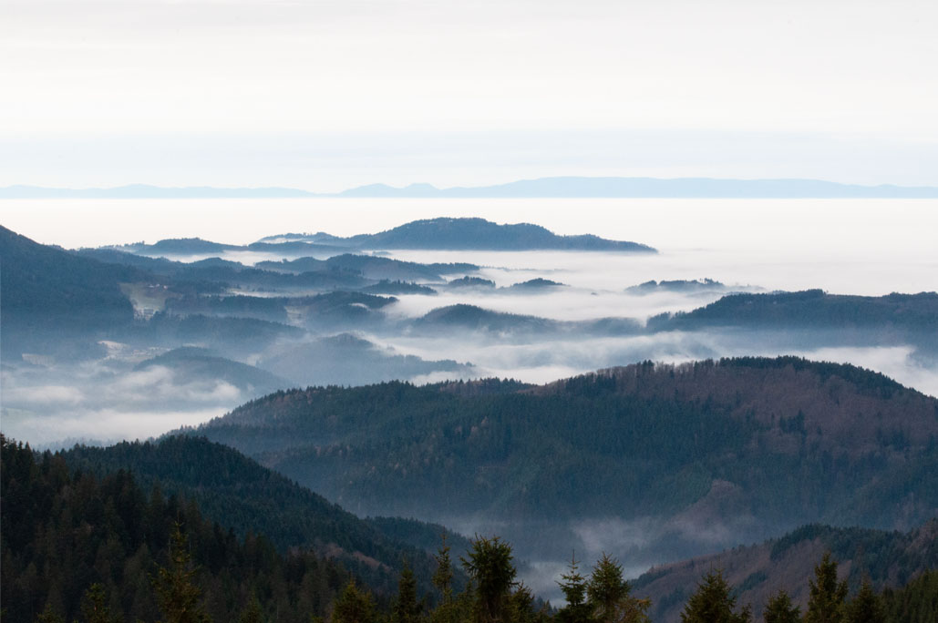 Blick über den Schwarzwald, die Rheinebene bis zu den Vogesen