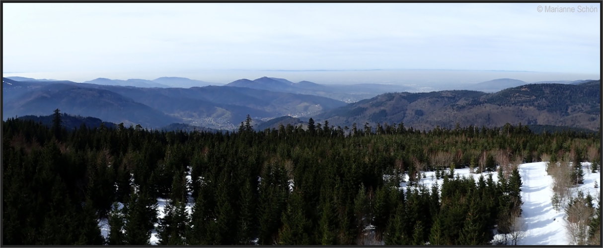 Blick über den Schwarzwald...