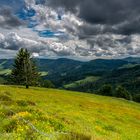 Blick über den Schwarzwald