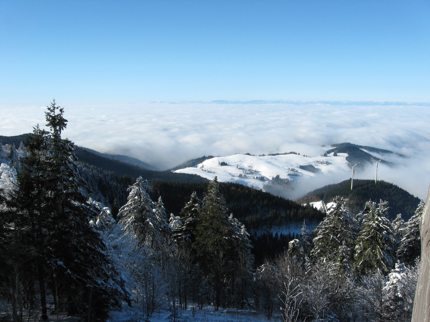 Blick über den Schwarzwald