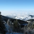 Blick über den Schwarzwald