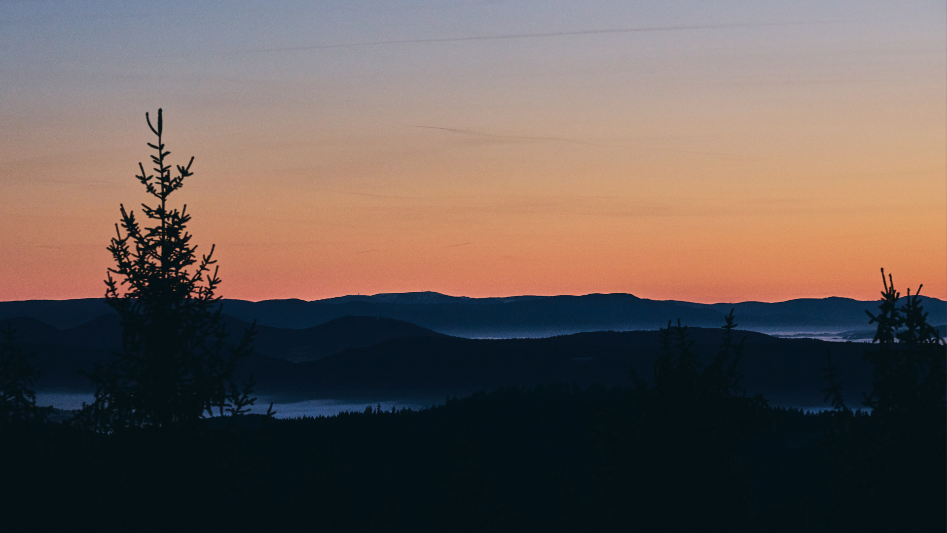 Blick über den Schwarzwald (II)