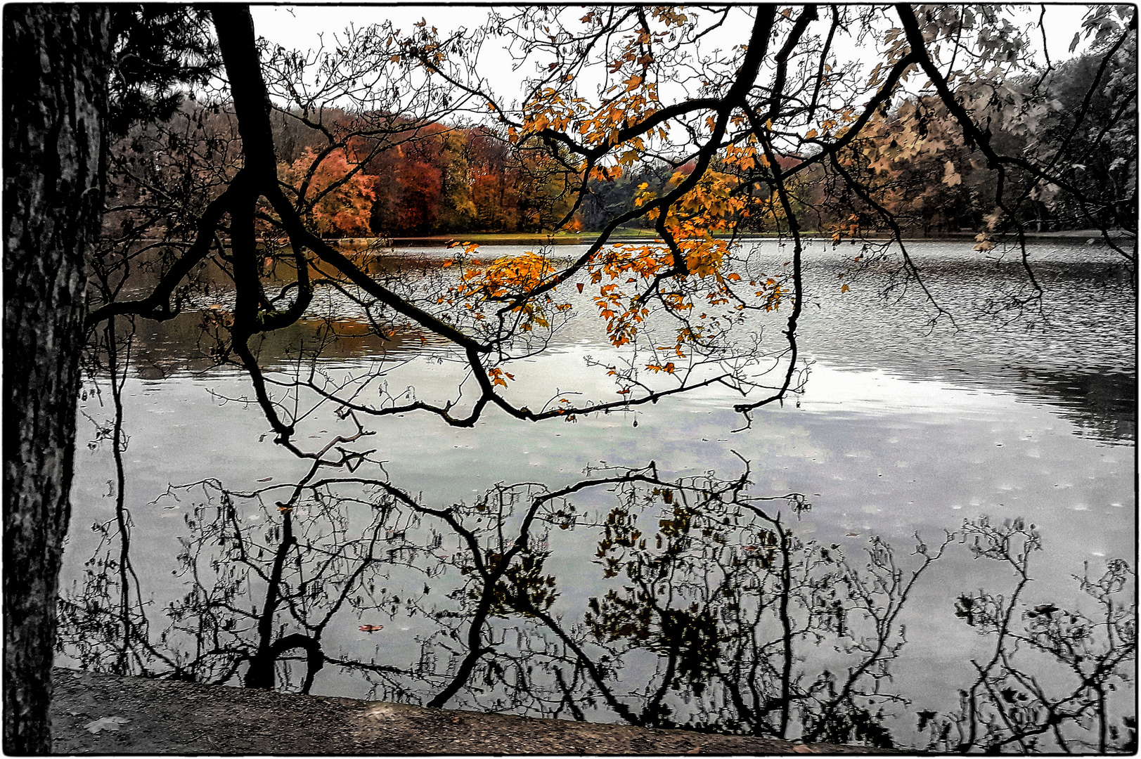 BLICK ÜBER DEN SEE......