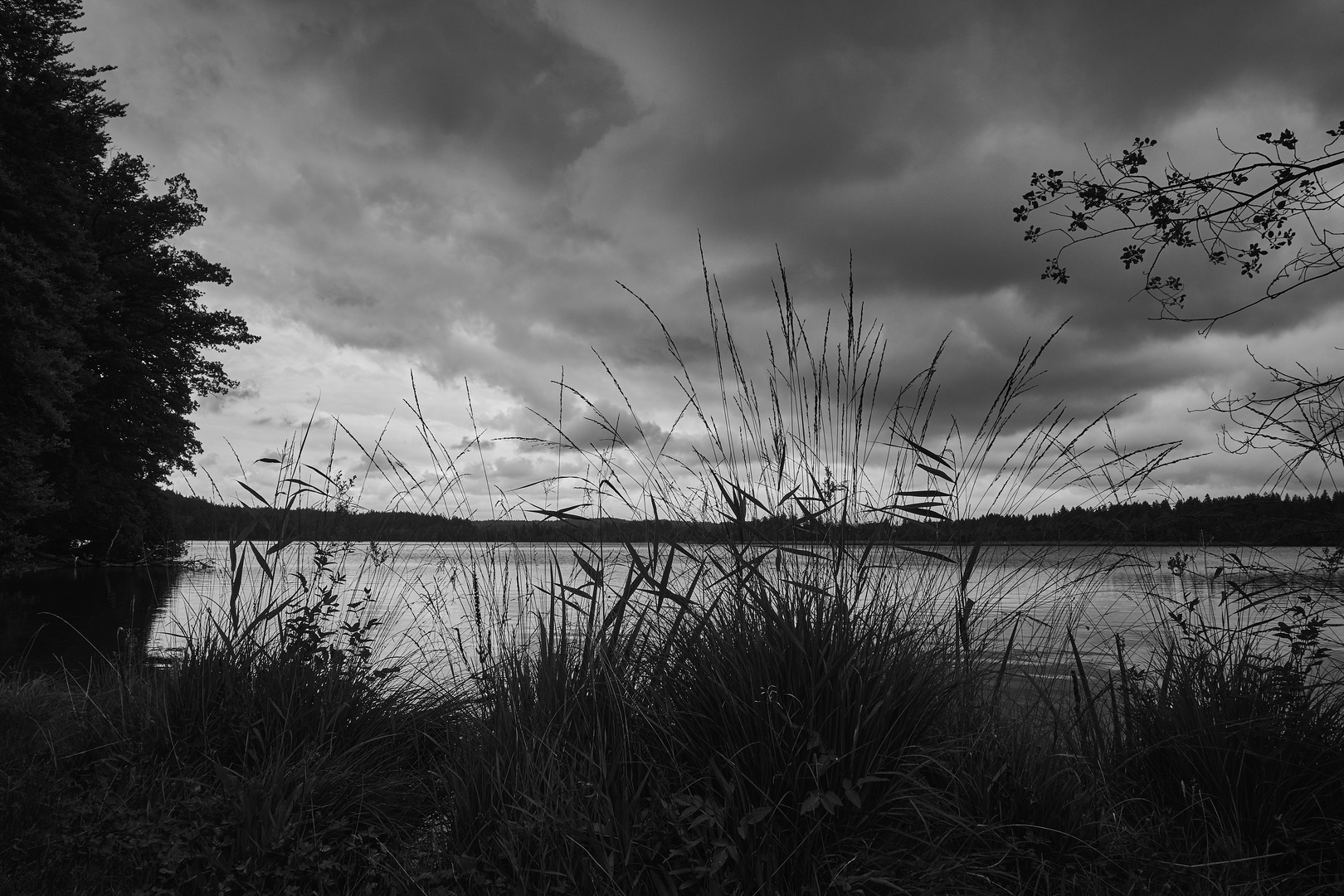 Blick über den See