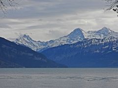 Blick über den See am letzten Tag im Jahr 2023