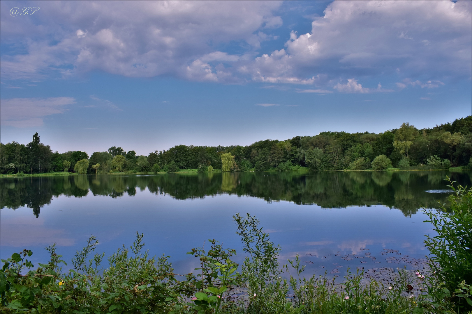 Blick über den See am Morgen