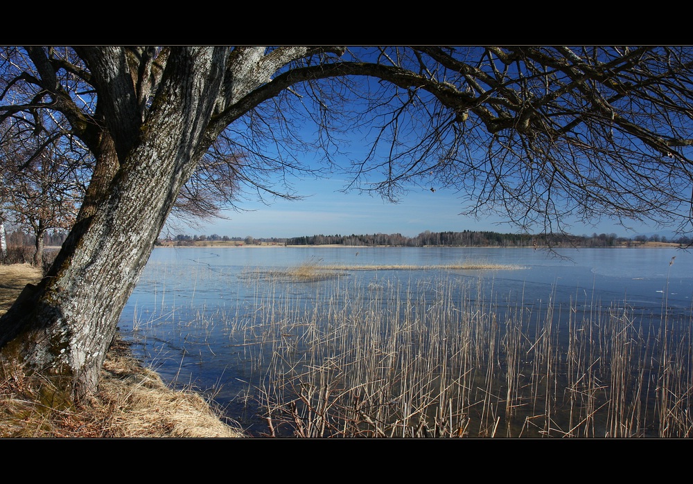 ~ Blick über den See II ~