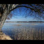 ~ Blick über den See II ~