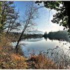 Blick über den See im Morgenlicht 