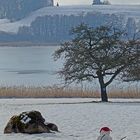 Blick über den See zur Kapelle