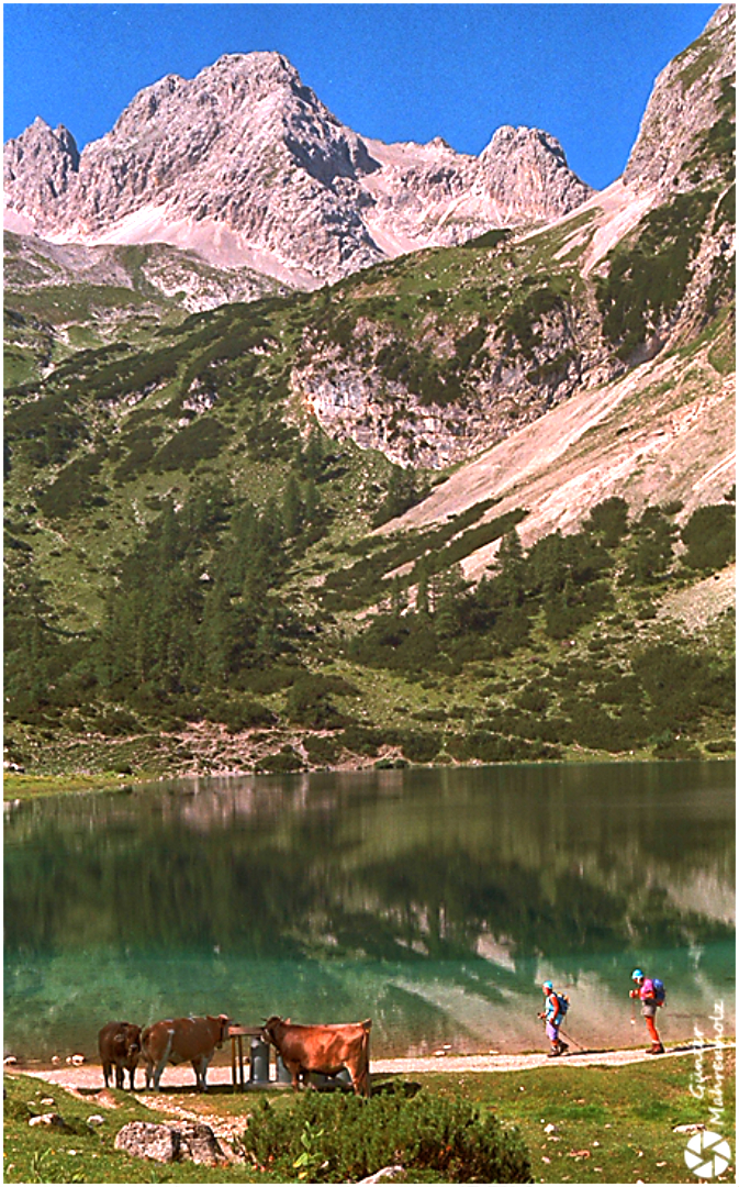 Blick über den Seebensee