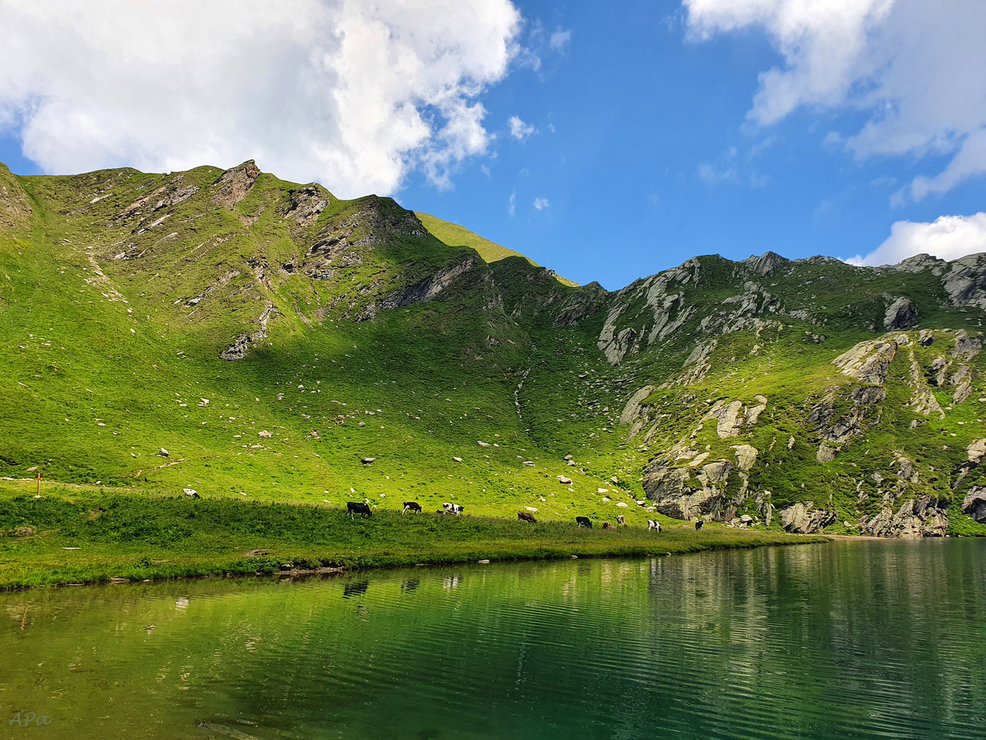 Blick über den Seefeldsee