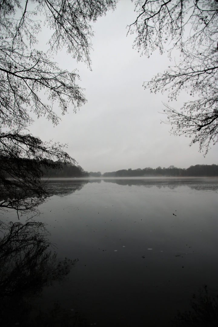 Blick über den Siethner See