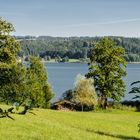 Blick über den Simssee (2)