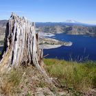 Blick über den Spirit Lake zum Mt. Adams