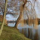 Blick über den Stadtsee