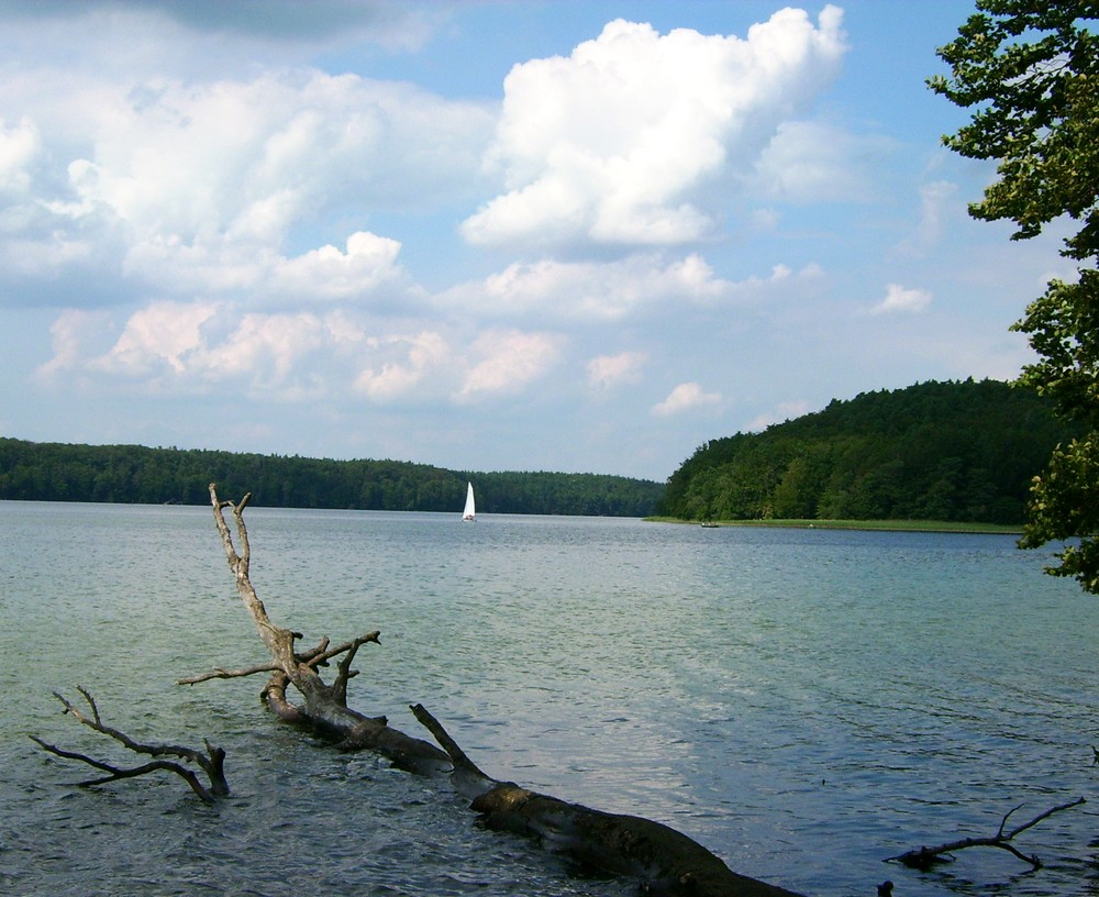 Blick über den Stechlin