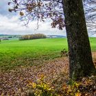 Blick über den Stennweiler Flur (Saarland)