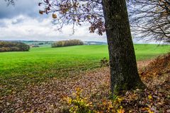 Blick über den Stennweiler Flur (Saarland)