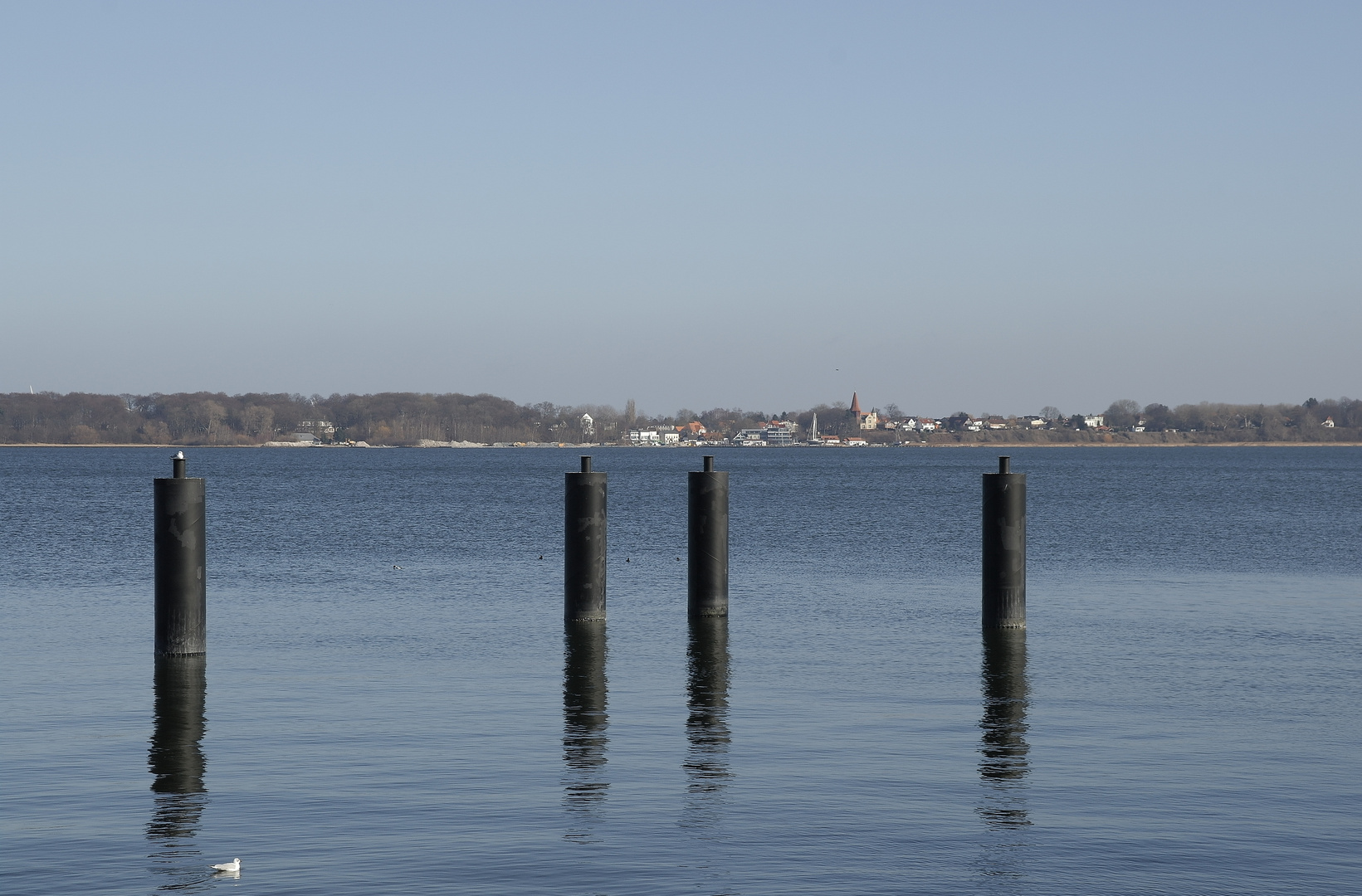 Blick über den Strelasund nach Rügen