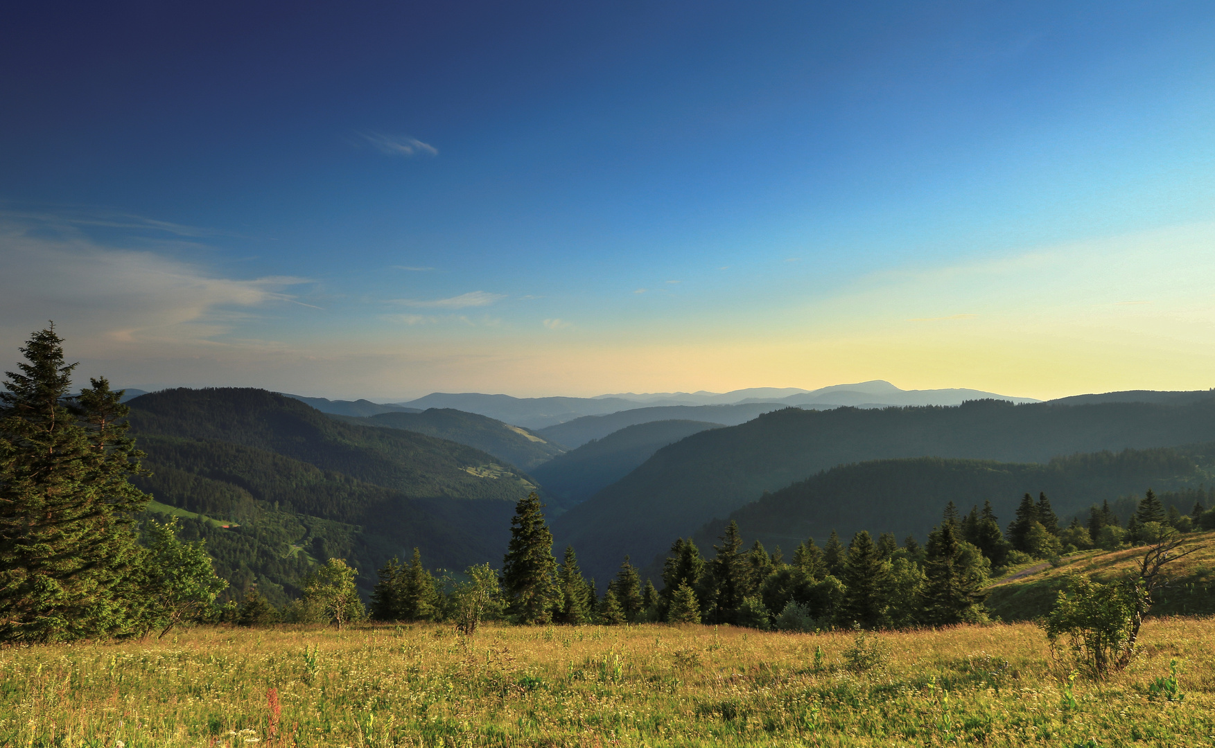 Blick über den südlichen Schwarzwald